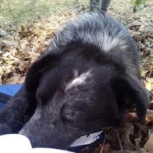 Meet your Posher, Lana